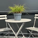 Hotel Boutique Hans - Amsterdam Schiphol Airport 3*