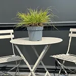 Boutique Hans - Amsterdam Schiphol Airport 3* Badhoevedorp