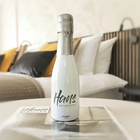 Hotel Boutique Hans - Amsterdam Schiphol Airport Badhoevedorp